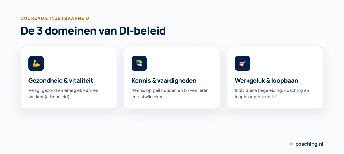 Infographic met de 3 domeinen van duurzame inzetbaarheid: gezondheid en vitaliteit, kennis en vaardigheden, en werkgeluk en loopbaan.