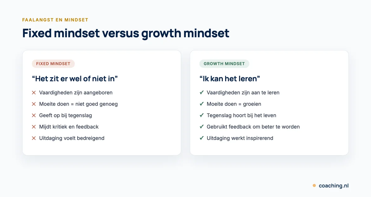 Infographic die een fixed mindset en een growth mindset vergelijkt bij faalangst: hoe je naar vaardigheden, tegenslag, feedback en uitdagingen kijkt.
