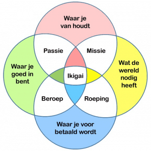 Het Ikigai-model