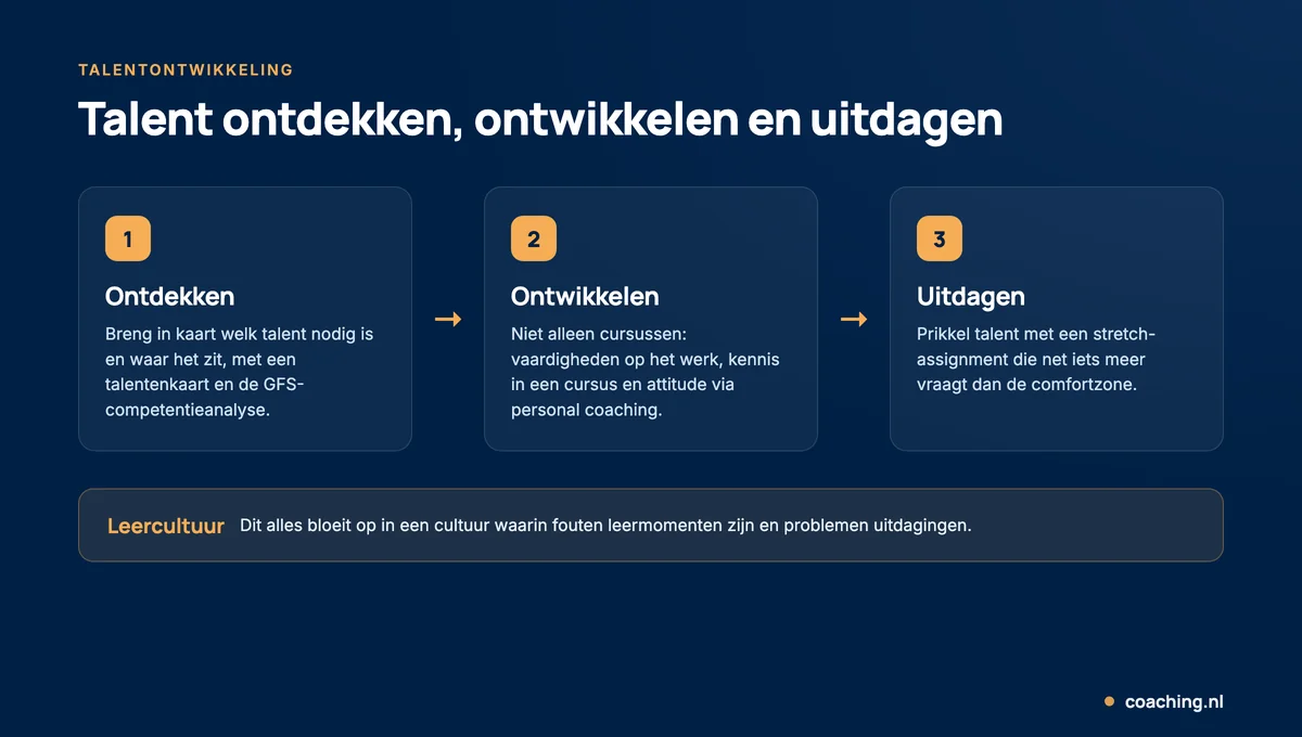 Infographic met de drie stappen van talentontwikkeling: talent ontdekken, ontwikkelen en uitdagen, binnen een leercultuur.